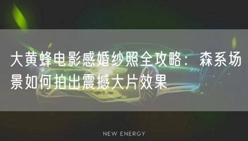 大黄蜂电影感婚纱照全攻略:森系场景如何拍出震撼大片效果