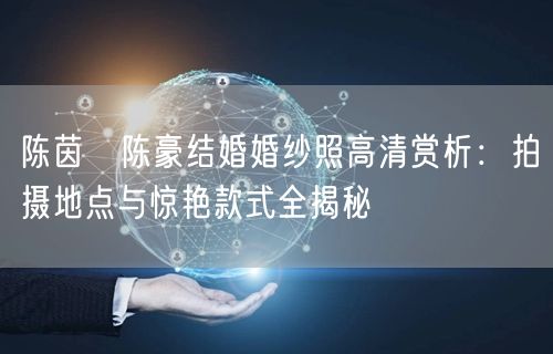 陈茵媺陈豪结婚婚纱照高清赏析：拍摄地点与惊艳款式全揭秘