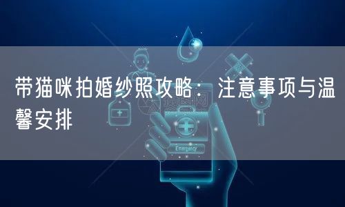 带猫咪拍婚纱照攻略:注意事项与温馨安排