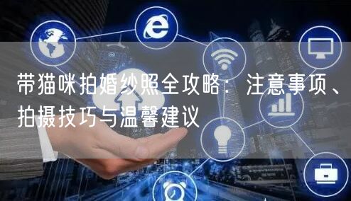 带猫咪拍婚纱照全攻略：注意事项、拍摄技巧与温馨建议