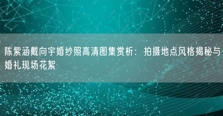 陈紫涵戴向宇婚纱照高清图集赏析:拍摄地点风格揭秘与婚礼现场花絮