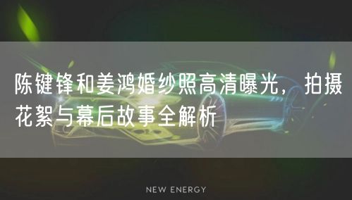 陈键锋和姜鸿婚纱照高清曝光,拍摄花絮与幕后故事全解析