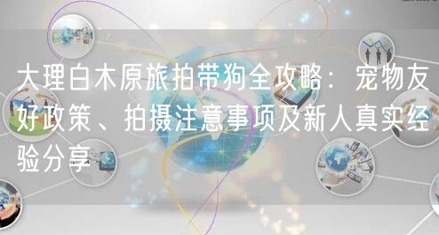 大理白木原旅拍带狗全攻略:宠物友好政策、拍摄注意事项及新人真实经验分享