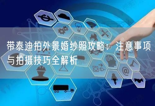 带泰迪拍外景婚纱照攻略：注意事项与拍摄技巧全解析