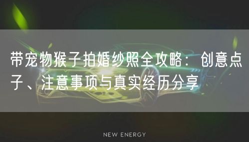 带宠物猴子拍婚纱照全攻略:创意点子、注意事项与真实经历分享