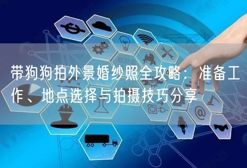 带狗狗拍外景婚纱照全攻略：准备工作、地点选择与拍摄技巧分享
