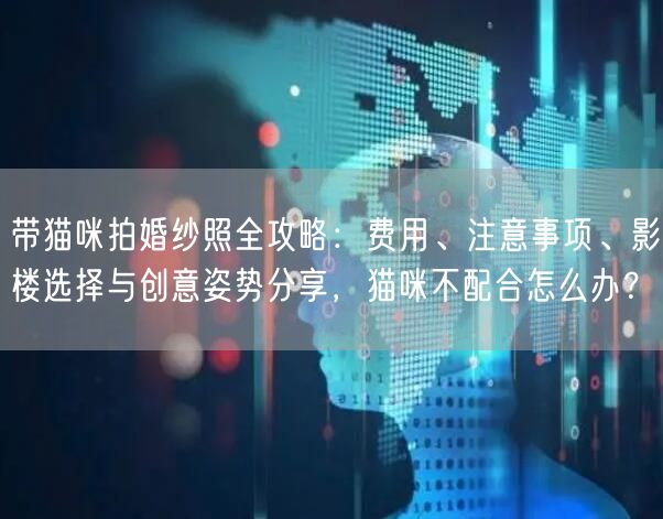 带猫咪拍婚纱照全攻略：费用、注意事项、影楼选择与创意姿势分享，猫咪不配合怎么办？