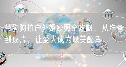 带狗狗拍户外婚纱照全攻略:从准备到成片,让爱犬成为最美配角