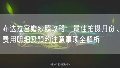 布达拉宫婚纱照攻略：最佳拍摄月份、费用明细及预约注意事项全解析