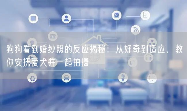 狗狗看到婚纱照的反应揭秘:从好奇到适应,教你安抚爱犬并一起拍摄