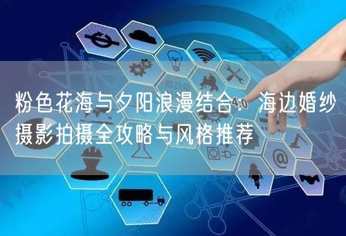 粉色花海与夕阳浪漫结合：海边婚纱摄影拍摄全攻略与风格推荐