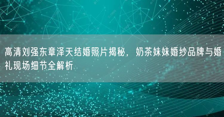 高清刘强东章泽天结婚照片揭秘，奶茶妹妹婚纱品牌与婚礼现场细节全解析