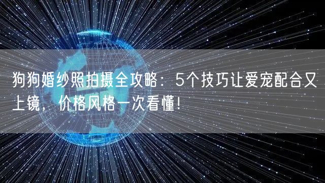 狗狗婚纱照拍摄全攻略：5个技巧让爱宠配合又上镜，价格风格一次看懂！